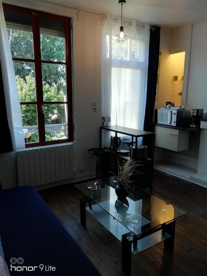 Centre Avec Vue Sur Parc, Simplicite D'acces, Charme Et Confort Garanti Apartment Troyes